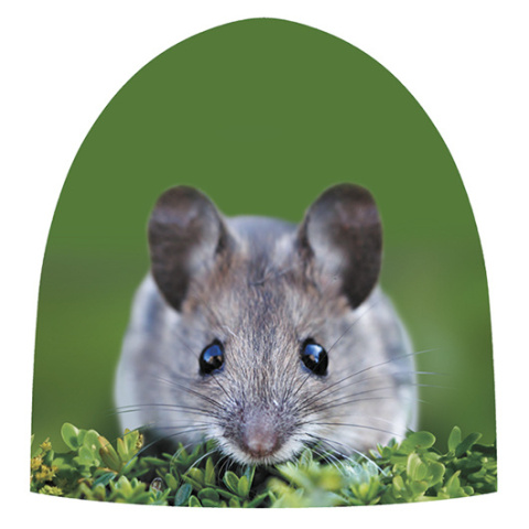 Czapka bawełniana KET MAGIC MOUSE