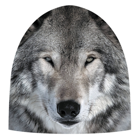 Czapka bawełniana KET MAGIC WOLF