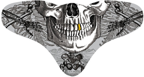 Fun Mask DRAWN SKULL