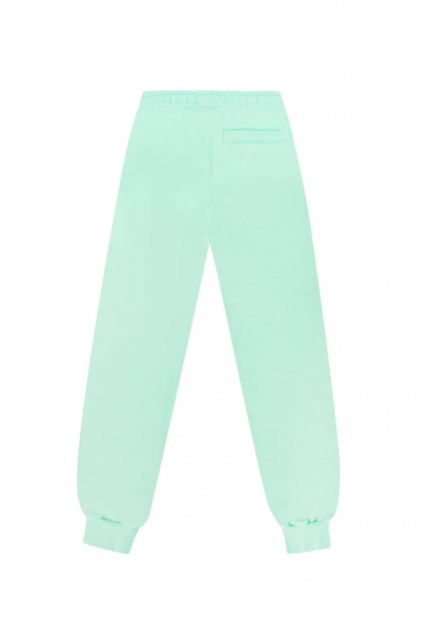 SPODNIE BAGGY JUNGMOB MINT