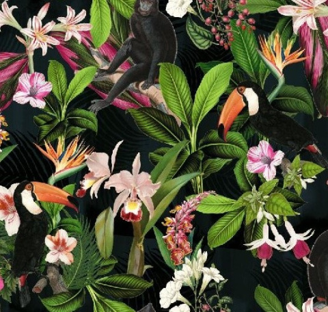 BLUZA ZIP JUNGMOB DARK MONKEY